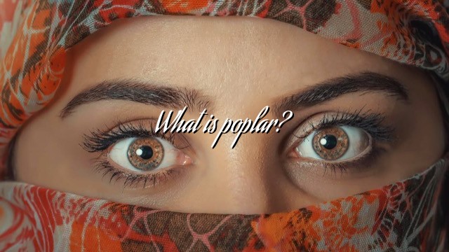 What is poplar?