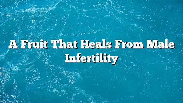 A fruit that heals from male infertility