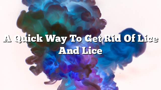 A quick way to get rid of lice and lice