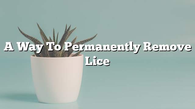 A way to permanently remove lice