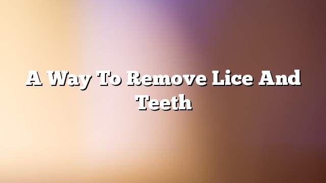 A way to remove lice and teeth