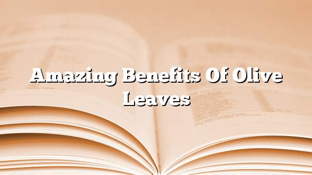 Amazing benefits of olive leaves