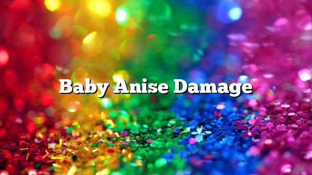 Baby Anise Damage