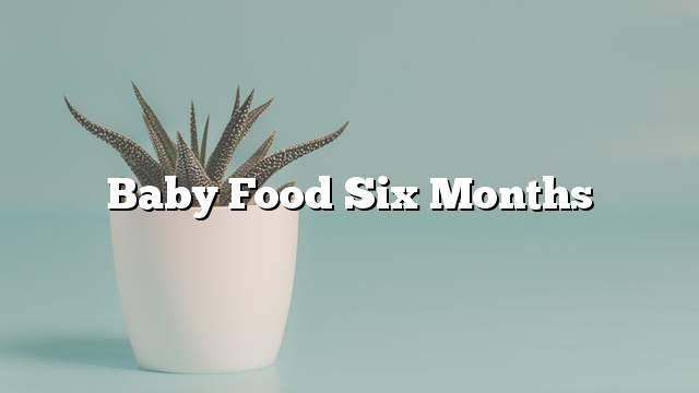 Baby food six months