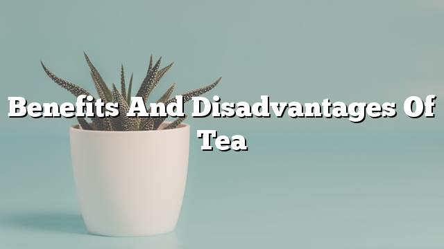 Benefits and disadvantages of tea