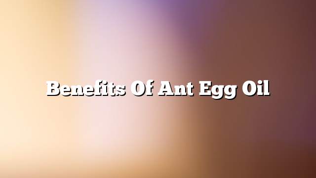 Benefits of ant egg oil