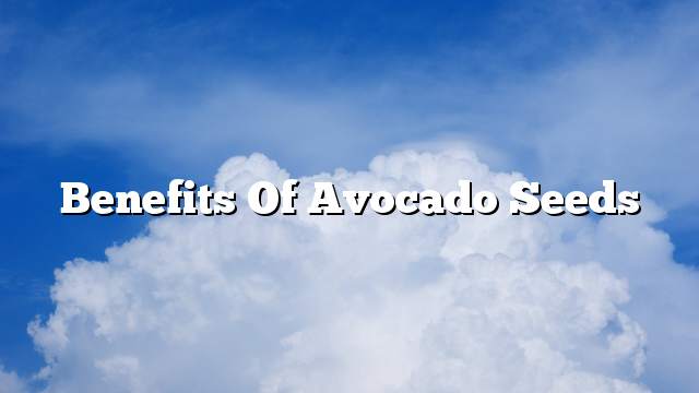 Benefits of avocado seeds