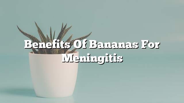 Benefits of bananas for meningitis