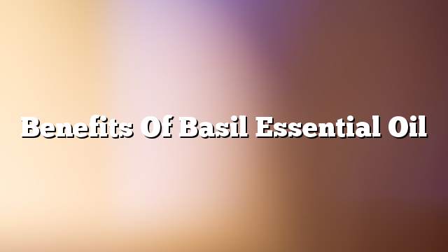 Benefits of basil essential oil