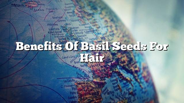 Benefits of basil seeds for hair