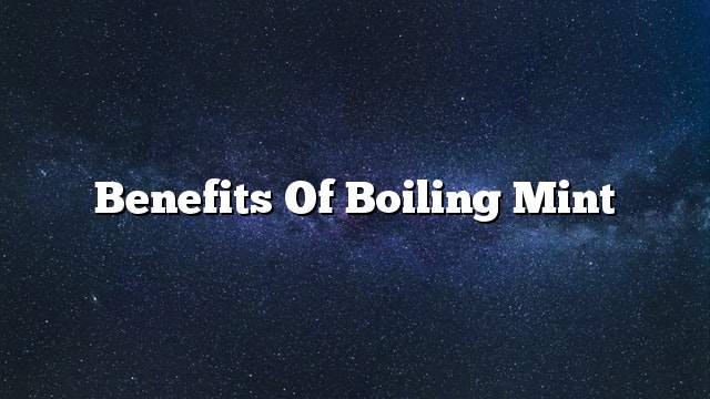 Benefits of boiling mint