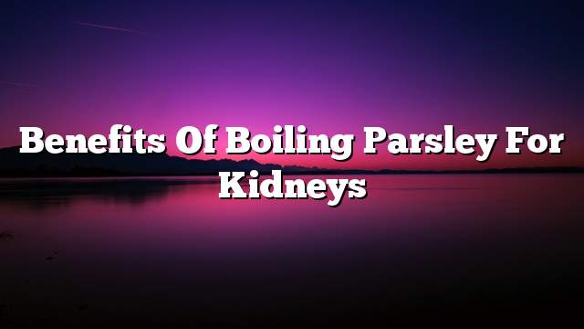 Benefits of boiling parsley for kidneys