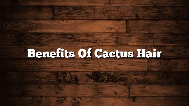 Benefits of cactus hair