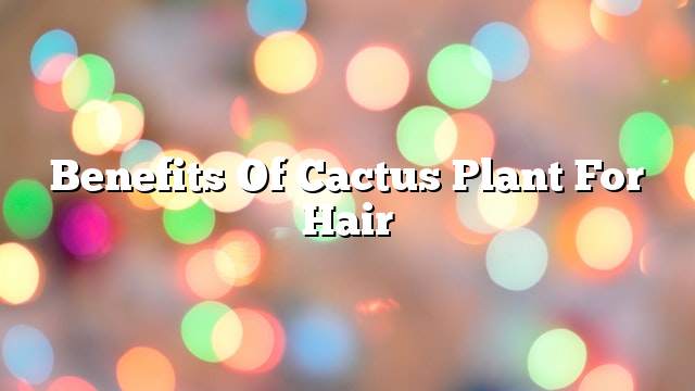 Benefits of cactus plant for hair