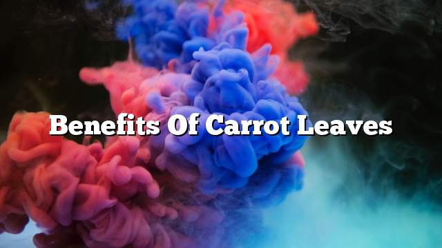 Benefits of carrot leaves