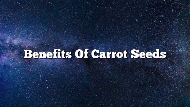 Benefits of carrot seeds