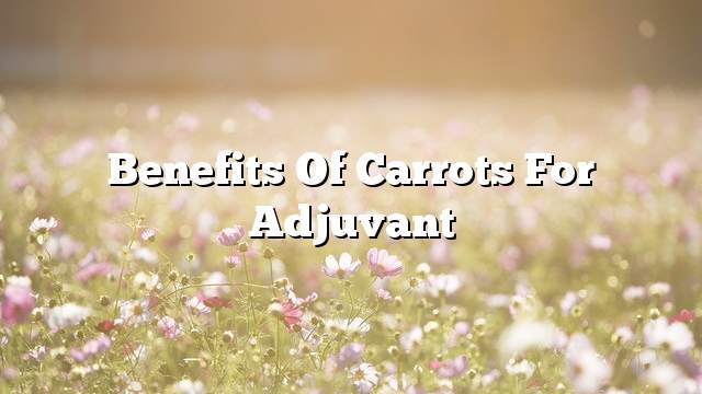 Benefits of Carrots for Adjuvant