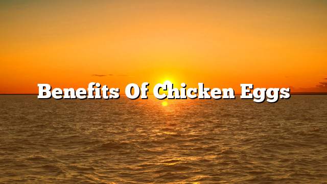 Benefits of chicken eggs