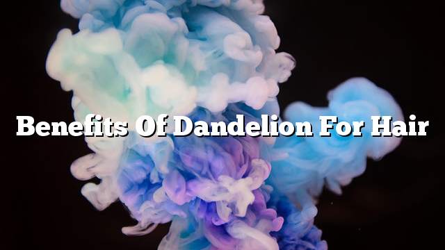 Benefits of dandelion for hair