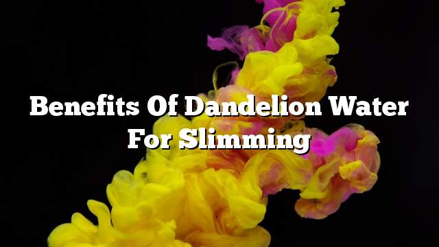 Benefits of dandelion water for slimming