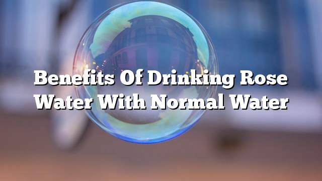 Benefits of drinking rose water with normal water