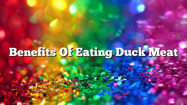 Benefits of eating duck meat