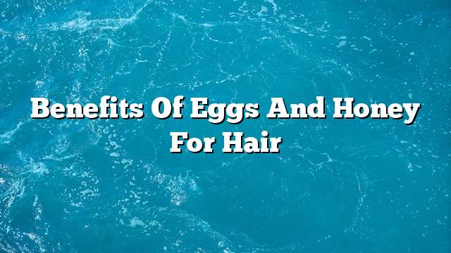 Benefits of eggs and honey for hair