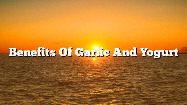 Benefits of garlic and yogurt