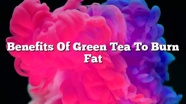 Benefits of green tea to burn fat