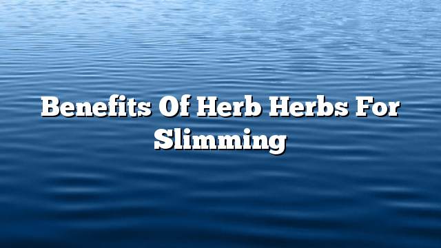 Benefits of Herb Herbs for Slimming