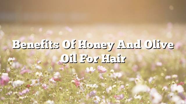 Benefits of honey and olive oil for hair