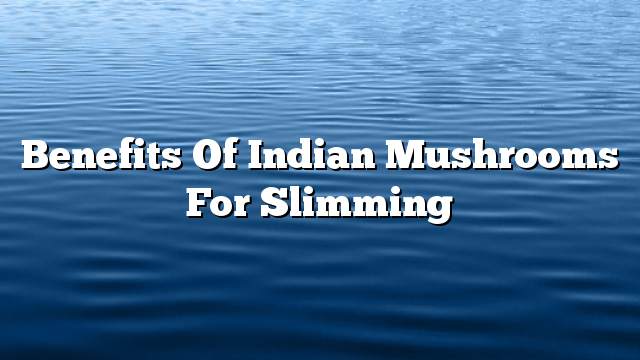 Benefits of Indian mushrooms for slimming