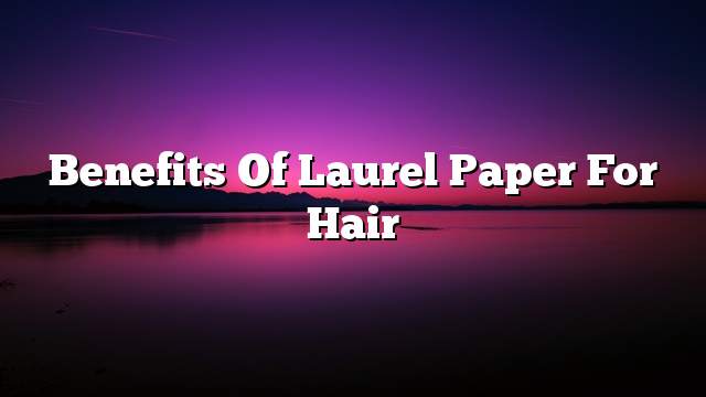 Benefits of laurel paper for hair