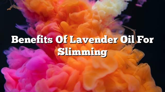 Benefits of lavender oil for slimming