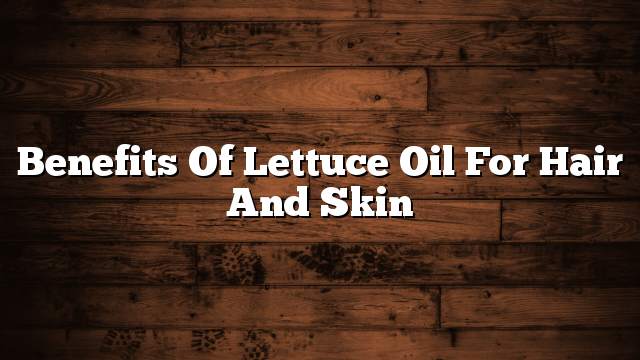 Benefits of lettuce oil for hair and skin