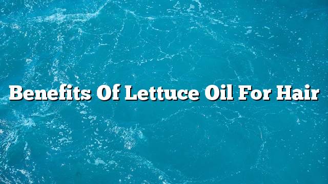 Benefits of lettuce oil for hair