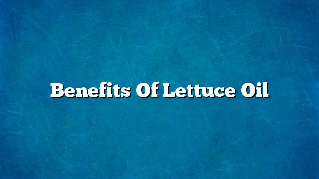 Benefits of lettuce oil