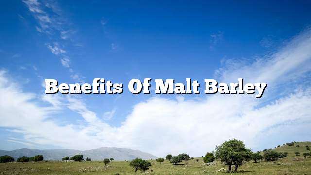 Benefits of malt barley