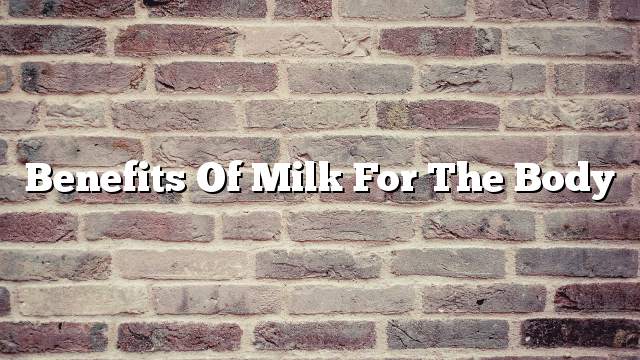 Benefits of milk for the body