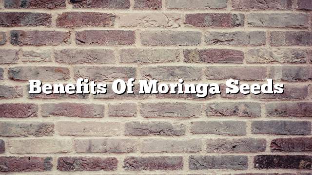 Benefits of Moringa Seeds