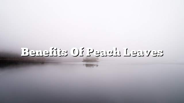 Benefits of peach leaves