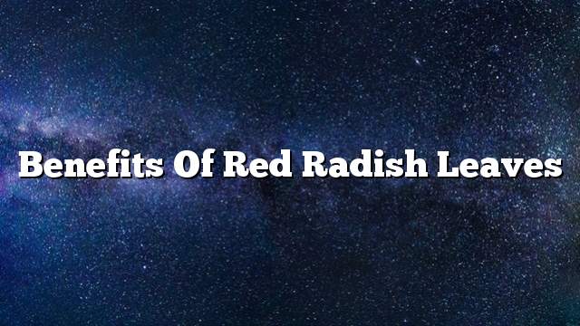 Benefits of red radish leaves