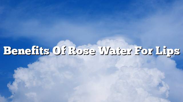 Benefits of rose water for lips