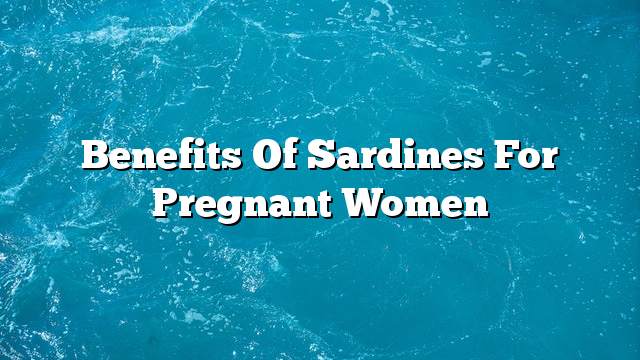 Benefits of sardines for pregnant women