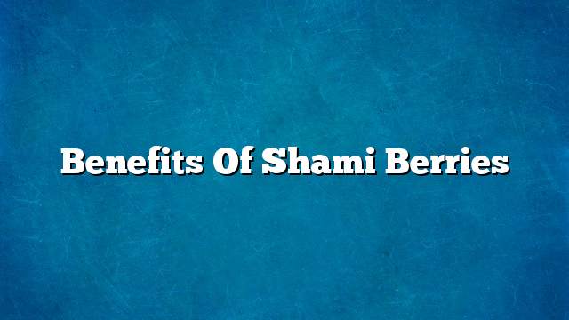 Benefits of Shami Berries