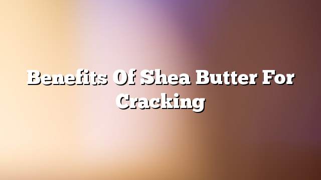 Benefits of Shea butter for cracking