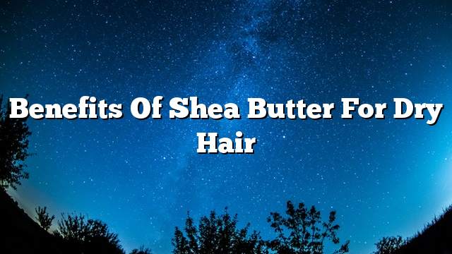 Benefits of Shea butter for dry hair