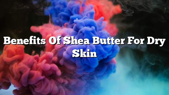 Benefits of shea butter for dry skin