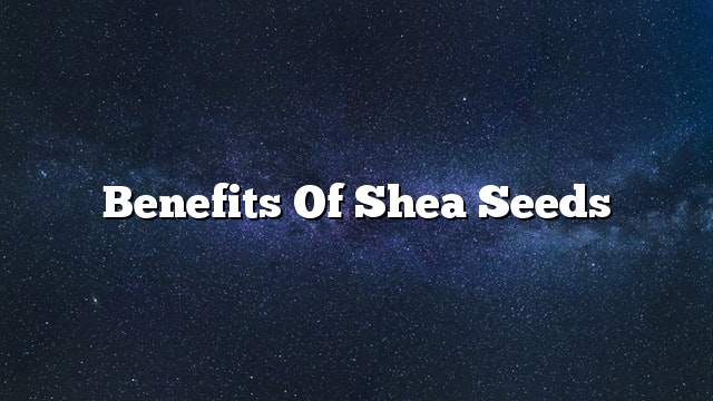 Benefits of Shea Seeds