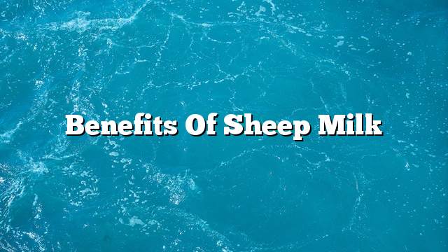 Benefits of sheep milk